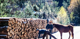 Ποιοι δικαιούνται δωρεάν καυσόξυλα για το χειμώνα