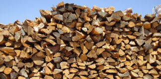 «Παγωμένη» η αγορά των καυσόξυλων στην Ξάνθη λόγω τιμής – Ελάχιστες εισαγωγές από Βουλγαρία, γιατί… τα κρατούν για τον εαυτό τους!