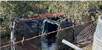 Θανατηφόρο τροχαίο στην Καβάλα: Ανατράπηκε αγροτικό και έπεσε στο κενό – Νεκρός ο οδηγός