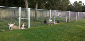 Ο Δήμος Αβδήρων αποκτά το δικό του σύγχρονο κυνοκομείο