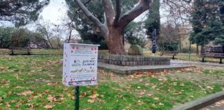 Εκδήλωση ενημέρωσης για το Περιβάλλον και τη Φιλοζωία το Σάββατο στην κεντρική πλατεία τη Ξάνθης