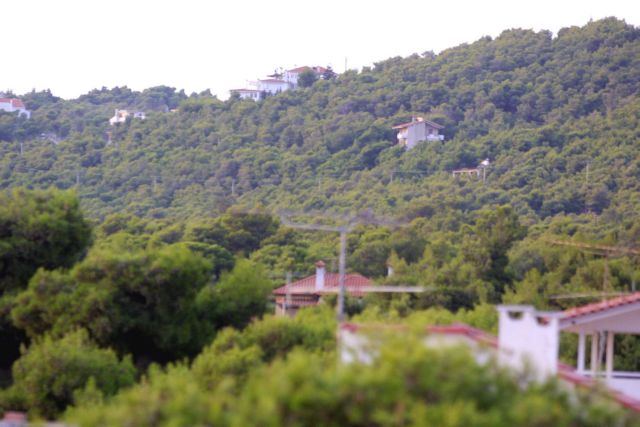 ΔΑΣΙΚΟΙ ΧΑΡΤΕΣ