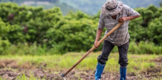 Αγρότες: Τι φέρνει η νέα ΚΑΠ 2023-2027