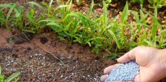 Υπεγράφη η ΚΥΑ για την επιδότηση των λιπασμάτων