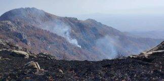 Καίγεται για 10η συνεχόμενη ημέρα, το Παπίκιο Όρος – Η ανάρτηση του Αντιπεριφερειάρχη Ροδόπης