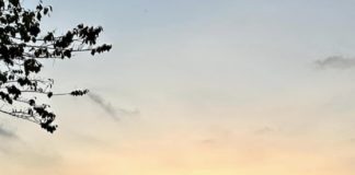 Ασφαλτόστρωση στους Τοξότες απο την ΠΕ Ξάνθης