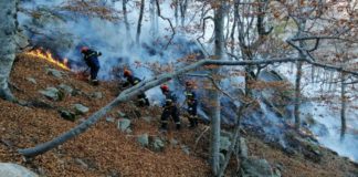 Ο πρόεδρος της ΔΕΥΑΞ Ιπποκράτης Καμαρίδης, για τη συνδρομή τους στην κατάσβεση της φωτιάς στο Παπίκιο Όρος.