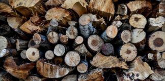 «Γενναίο» επίδομα για καυσόξυλα με έναν όρο – Πόσα χρήματα είναι