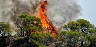 Κικίλιας: Φέτος κάηκαν 24% λιγότερα στρέμματα από το μ.ο. 20ετίας – Αντεπεξήλθαμε σε 4.500 πυρκαγιές