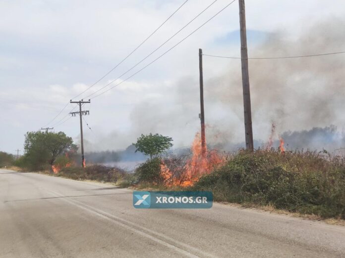 ΦΩΤΙΑ ΚΟΜΟΤΗΝΗ ΠΑΝΕΠΙΣΤΗΜΙΟΥΠΟΛΗ (13)