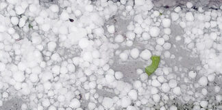 Συμβαίνει τώρα: Σφοδρή χαλαζόπτωση και έντονο καιρικό στον Ξανθιώτικο κάμπο