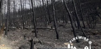 «Διαχείριση Κρίσεων και Φυσικών Καταστροφών: Η Επόμενη Μέρα»