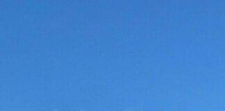 Λήξη συναγερμού για την πυρκαγιά στο περιαστικό άλσος της Ξάνθης – Κατασβέστηκε με απόλυτη επιτυχία