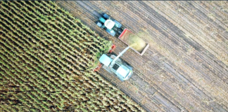 Στο 17,2% οι καλλιεργούμενες βιολογικές εκτάσεις στην Ελλάδα – 85.000 παραγωγοί