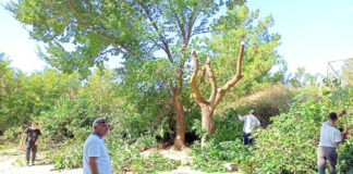 Καθημερινές οι παρεμβάσεις για την… καθημερινότητα του δημότη στην Ξάνθη