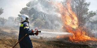 Copernicus: Μειωμένες κατά 33% οι καμένες εκτάσεις στην Ελλάδα φέτος