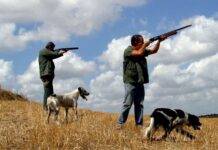 Κάλεσμα στους κυνηγούς Μακεδονίας – Θράκης για συμμετοχή στην διαβούλευση για την τροποποίηση του νόμου «ΑΡΓΟΣ»