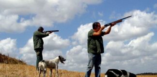 Κάλεσμα στους κυνηγούς Μακεδονίας – Θράκης για συμμετοχή στην διαβούλευση για την τροποποίηση του νόμου «ΑΡΓΟΣ»