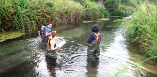 Καβάλα: Η ανακάλυψη του Γκαβόχελου στα Τενάγη Φιλίππων, ένα 360 εκατ. ετών αρχαίο ψάρι