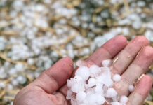 Πλημμύρες και χαλάζι στο κάμπο της Ξάνθης