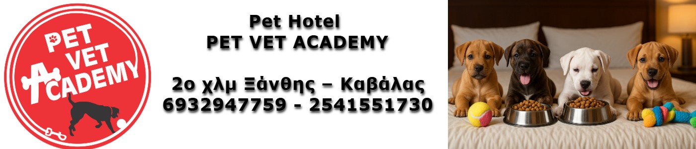 spot_img