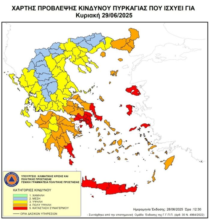 xartis-29