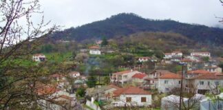 1η Συνάντηση για την αναγνώριση του Άνω Καρυοφύτου ως Μαρτυρικού Τόπου