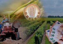 Οι αγρότες της Ξάνθης για την χθεσινή πληρωμή του ΟΠΕΚΕΠΕ: Πρόκληση και εμπαιγμός