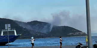 Σε ύφεση η φωτιά στη Θάσο