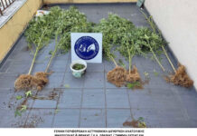 Έντεκα συλλήψεις για ναρκωτικά στην ΠΑΜΘ