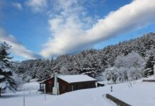 Μέσα με τα… «μπούνια» το Δασικό Χωριό Ερυμάνθου, αλλά…