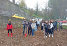 Οικολογική δράση –φύτευση οπωρώνα στο Γυμνάσιο Σταυρούπολης