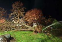 Εικόνες “αποκάλυψης” στην Αλεξανδρούπολη από το πέρασμα της κακοκαιρίας