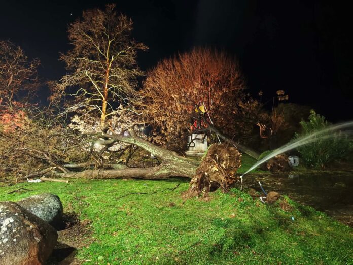 FB_IMG_1768078371736