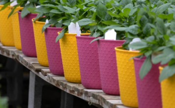 Η ΕΕ τροποποιεί τη νομοθεσία: Τα φυτά σε πλαστικές γλάστρες θα απαγορευτούν στο μέλλον