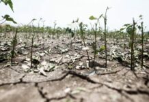 Κλιματική Αποτίμηση 2025 στην Ελλάδα: Αυξητικές θερμοκρασίες, λιγότερες χιονοπτώσεις και ξηρασία