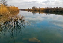 Λίσσος ποταμός: Αγνοείται άνδρας – σε εξέλιξη επιχείρηση εντοπισμού
