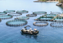 455.500 ευρώ στην ΠΑΜΘ για τον τομέα αλιείας και υδατοκαλλιέργειας