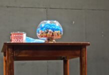 Αυτή είναι η σειρά των πληρωμάτων της μεγάλης καρναβαλικής παρέλασης – Δείτε εδώ την κλήρωση