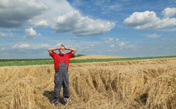 Στο επίκεντρο οι 7+1 «πληγές» του πρωτογενούς τομέα
