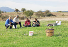 ΕΛΣΤΑΤ: «Σβήνουν» τα αγροτικά επαγγέλματα – 75.000 αποχωρήσεις από το χωράφι σε μόλις ένα χρόνο