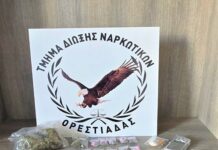 Οκτώ συλλήψεις για ναρκωτικά στην ΠΑΜΘ-Και με κούριερ η μεταφορά τους – Σύλληψη για κάνναβη και στην Ξάνθη