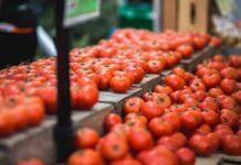 «Φωτιά» στις τιμές των οπωροκηπευτικών και των φρούτων – Ντομάτα από… χρυσάφι