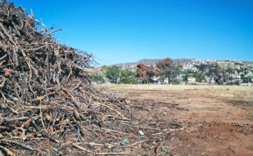 Ακαθάριστα οικόπεδα: Από 1η Απριλίου ξεκινά η προθεσμία καθαρισμού – Τι αλλάζει από φέτος