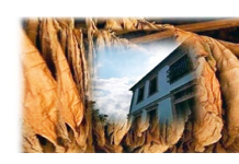 Δύο Χρόνια «Παστάλι» στην Παλιά Χρύσα – Γιορτή, Απολογισμός και Παρουσίαση του 3ου Φεστιβάλ ΦΑΕΡΟΠ