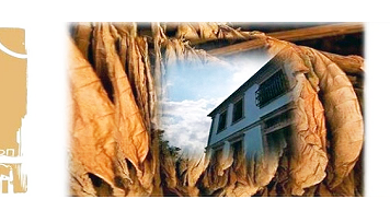 Δύο Χρόνια «Παστάλι» στην Παλιά Χρύσα – Γιορτή, Απολογισμός και Παρουσίαση του 3ου Φεστιβάλ ΦΑΕΡΟΠ