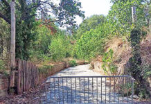 ΥΠΕΣ: 50 εκ. ευρώ σε Δήμους και Συνδέσμους για δράσεις πυροπροστασίας-Αναλυτικά η χρηματοδότηση για τους Δήμους του Ν. Ξάνθης