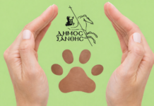 69 πρόστιμα απο τον Δήμο Ξάνθης για παραβάσεις του νόμου για ζώα συντροφιάς, το 2025