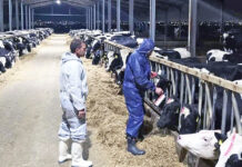 Αφθώδης πυρετός:Επιβεβαιώθηκε το κρούσμα στα Μάλκαρα…στο «πόδι» οι κτηνοτρόφοι μας