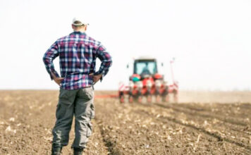 ΑΑΔΕ: Άνοιξαν οι αιτήσεις για επιστροφή ΦΠΑ αγροτών ειδικού καθεστώτος